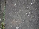 image of grave number 798486